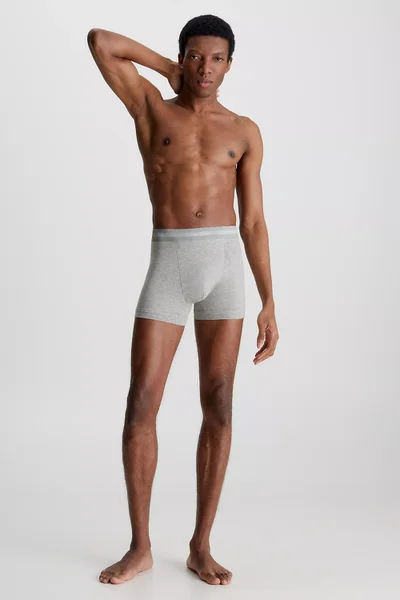 Mužské boxerky ESSENTIALS 3KS - Calvin Klein