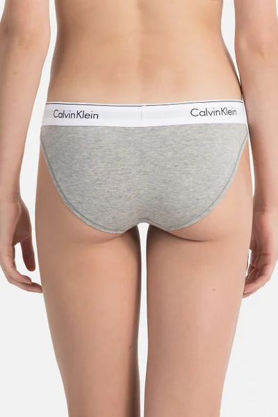 Dámské kalhotky W5L šedá - Calvin Klein