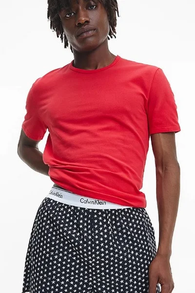 Pyžamo pro muže 4RL9 Q081PI červenáčerná - Calvin Klein