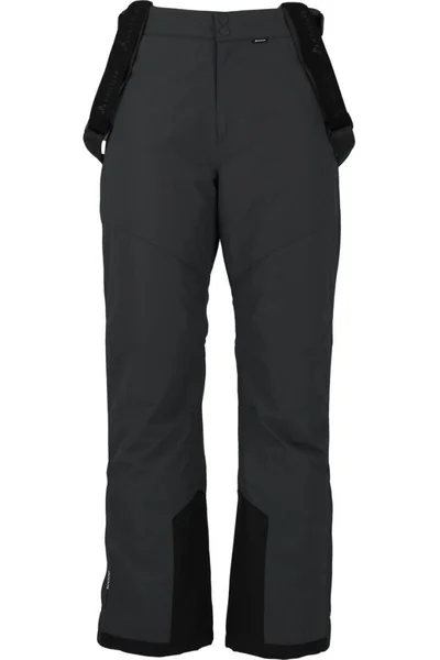 Dětské lyžařské kalhoty Whistler Drizzle Jr Ski Pant W-Pro 10000