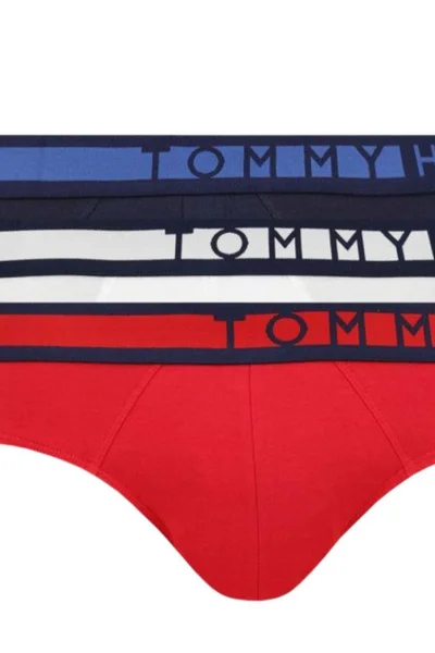 Mužské boxerky Tommy Hilfiger (3 ks)